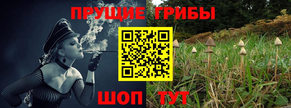 где купить наркотик  Псилоцибиновые грибы Psilocybine cubensis  Вход с VPN  Улан-Удэ 
