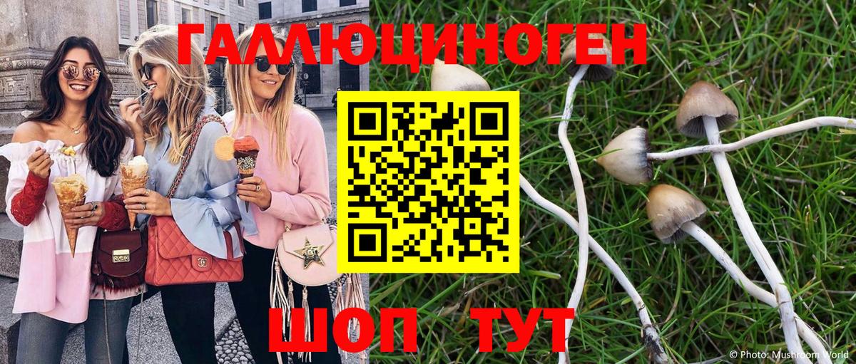 Псилоцибиновые грибы мицелий Улан-Удэ